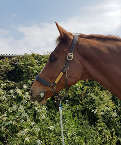 The best nameplates for your tack