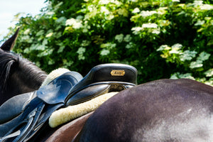 Spring Clean: How to Keep Your Tack Room Organised