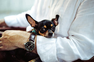 Spring Forward: Preparing Your Pet for the Clock Change