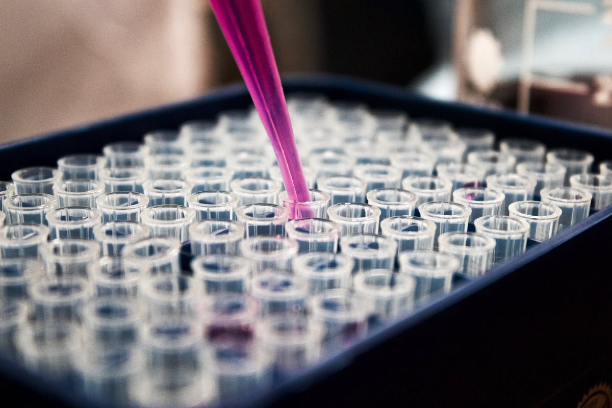The Secrets Behind Doggy DNA – Engraving Studios