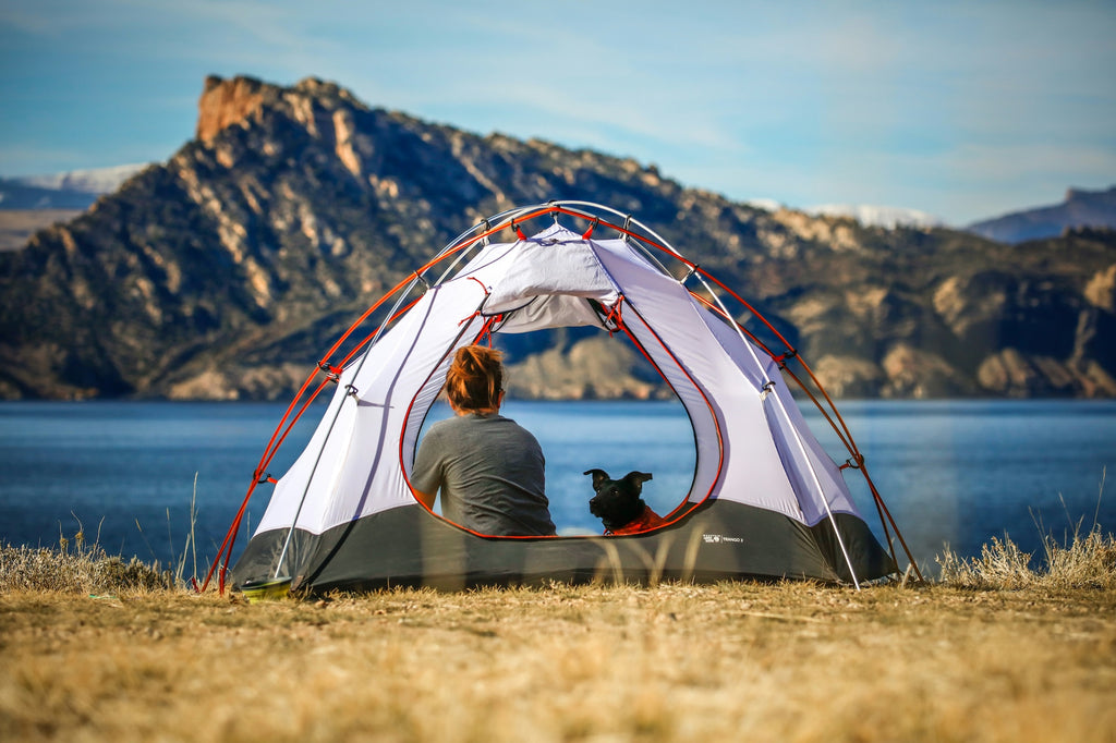 Camping With Dogs