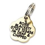 Extra Small Solid Brass Woof Paw Shaped Dog Tag